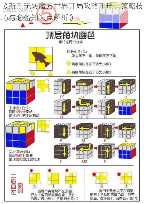 《新手玩转魔方世界开局攻略手册：策略技巧与必备知识点解析》