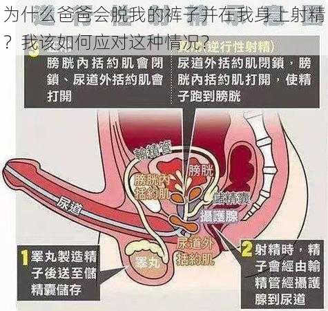 为什么爸爸会脱我的裤子并在我身上射精？我该如何应对这种情况？