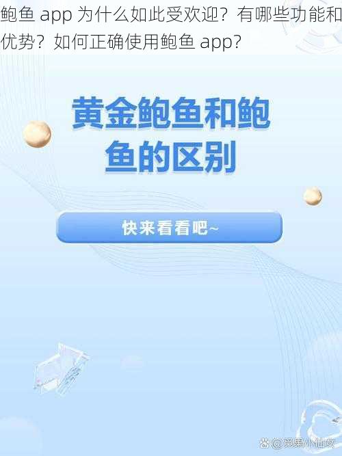 鲍鱼 app 为什么如此受欢迎？有哪些功能和优势？如何正确使用鲍鱼 app？