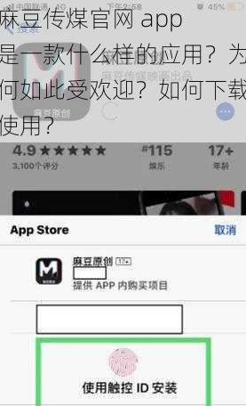 麻豆传煤官网 app 是一款什么样的应用？为何如此受欢迎？如何下载使用？