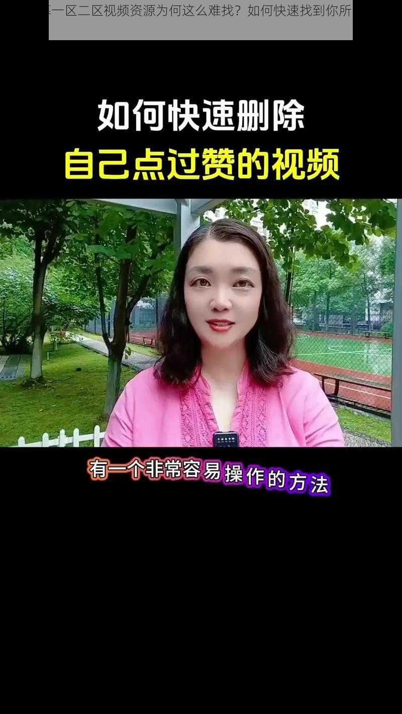 中文字幕一区二区视频资源为何这么难找？如何快速找到你所需的视频？