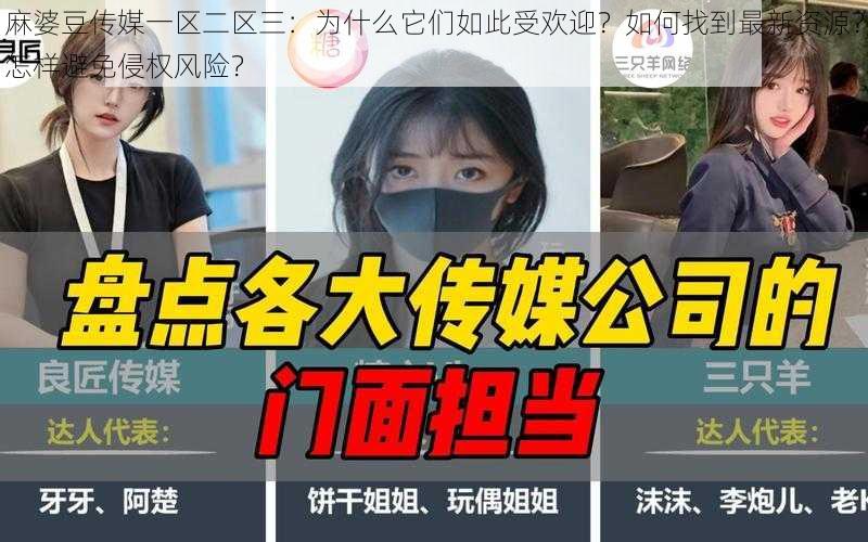 麻婆豆传媒一区二区三：为什么它们如此受欢迎？如何找到最新资源？怎样避免侵权风险？