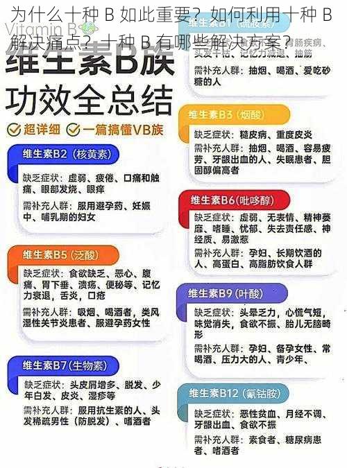 为什么十种 B 如此重要？如何利用十种 B 解决痛点？十种 B 有哪些解决方案？