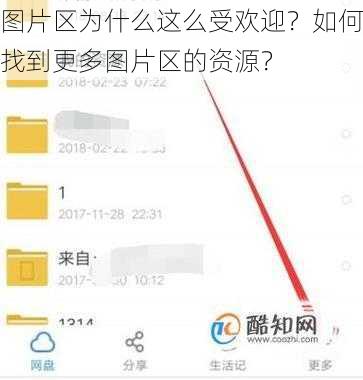 图片区为什么这么受欢迎？如何找到更多图片区的资源？