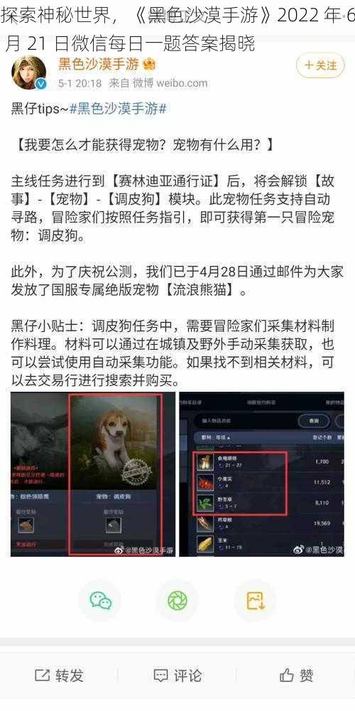 探索神秘世界，《黑色沙漠手游》2022 年 6 月 21 日微信每日一题答案揭晓