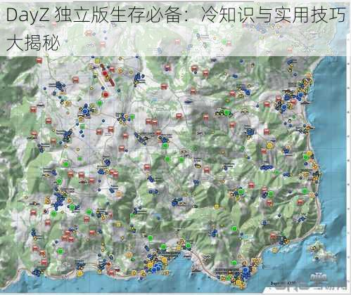 DayZ 独立版生存必备：冷知识与实用技巧大揭秘