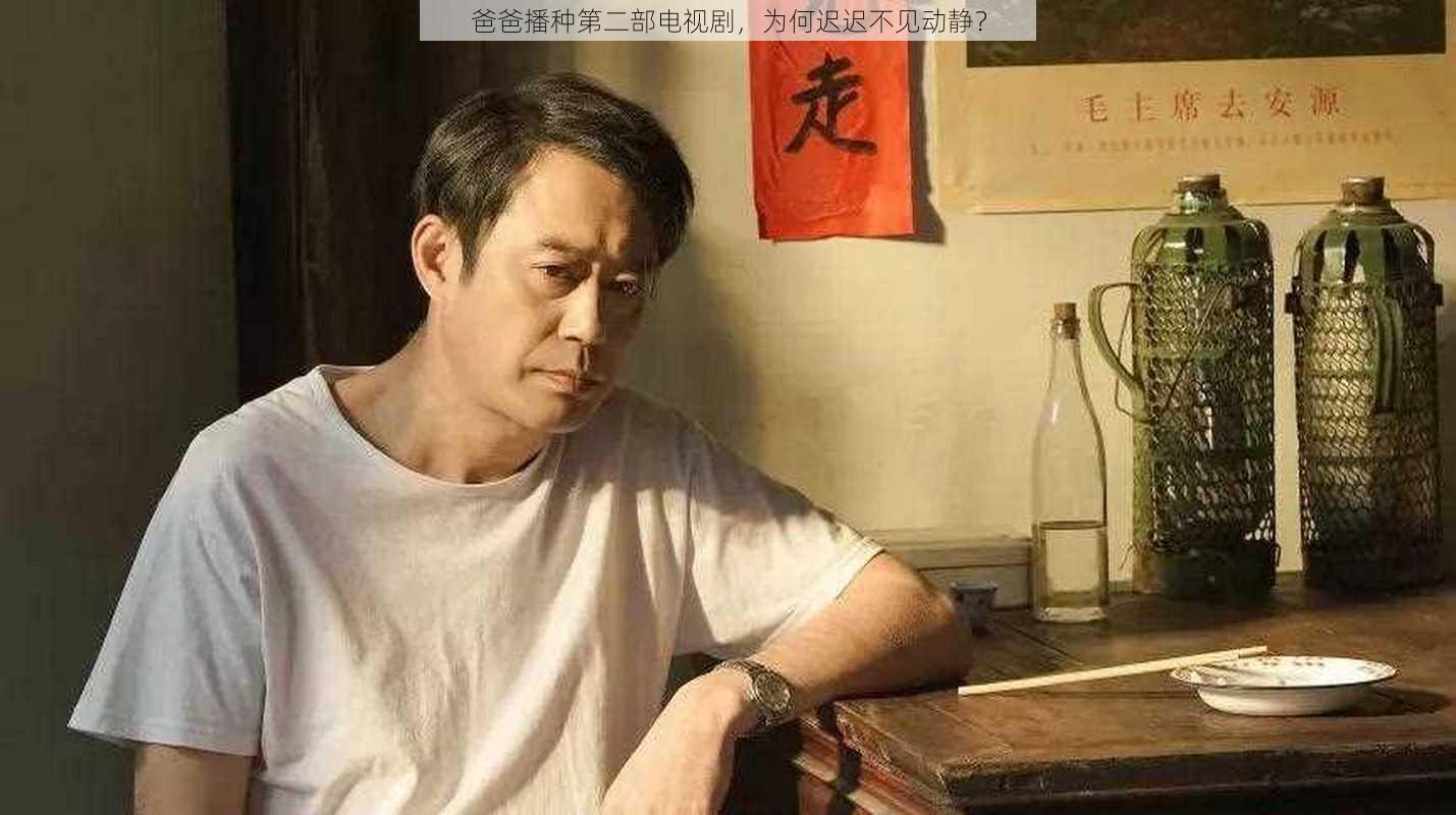 爸爸播种第二部电视剧，为何迟迟不见动静？