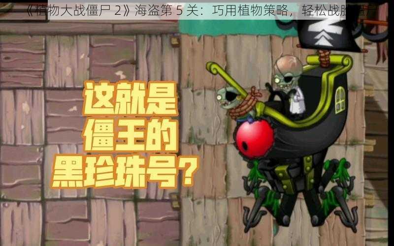 《植物大战僵尸 2》海盗第 5 关：巧用植物策略，轻松战胜僵尸