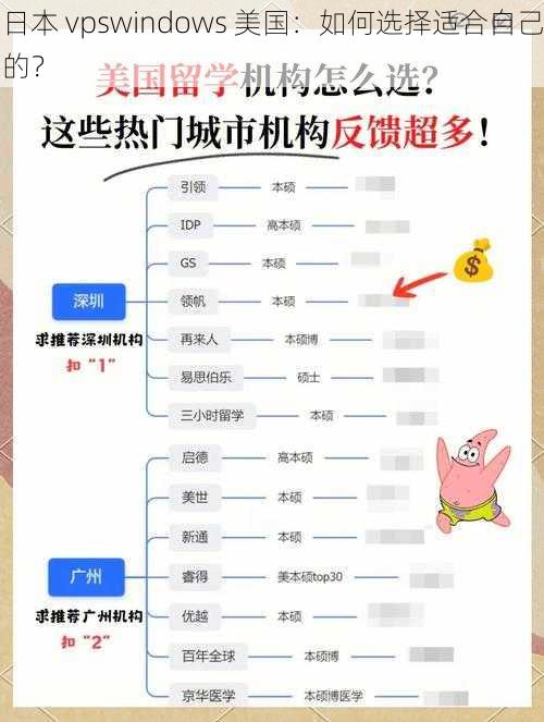 日本 vpswindows 美国：如何选择适合自己的？