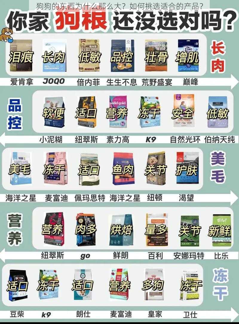 狗狗的东西为什么那么大？如何挑选适合的产品？