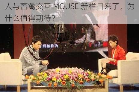 人与畜禽交互 MOUSE 新栏目来了，为什么值得期待？