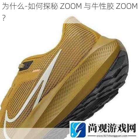 为什么-如何探秘 ZOOM 与牛性胶 ZOOM？