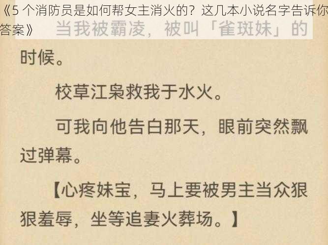 《5 个消防员是如何帮女主消火的？这几本小说名字告诉你答案》