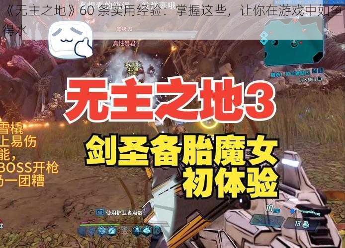 《无主之地》60 条实用经验：掌握这些，让你在游戏中如鱼得水