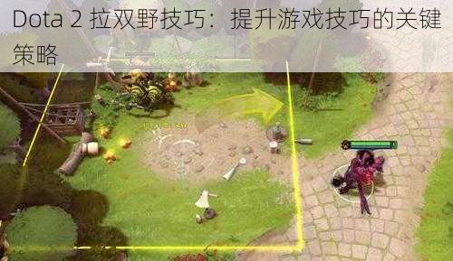 Dota 2 拉双野技巧：提升游戏技巧的关键策略