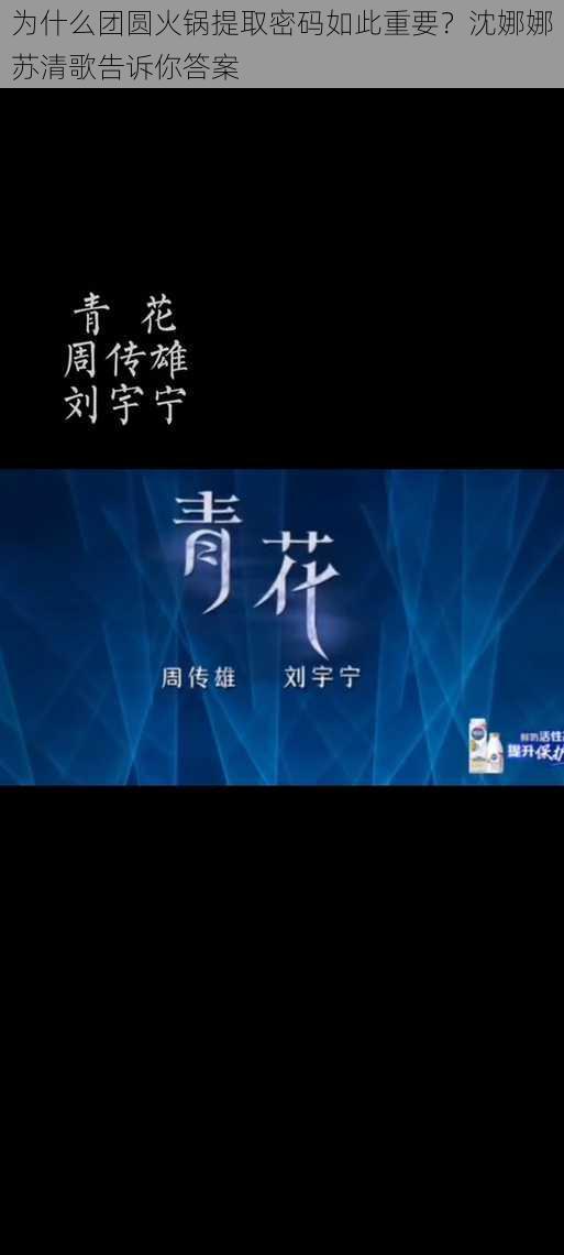 为什么团圆火锅提取密码如此重要？沈娜娜苏清歌告诉你答案