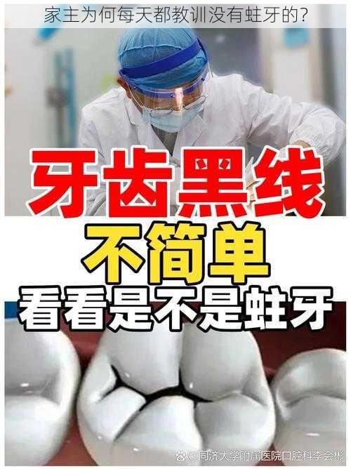 家主为何每天都教训没有蛀牙的？