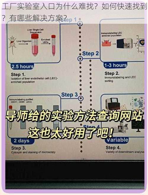 工厂实验室入口为什么难找？如何快速找到？有哪些解决方案？