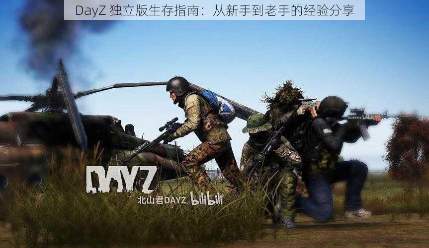 DayZ 独立版生存指南：从新手到老手的经验分享