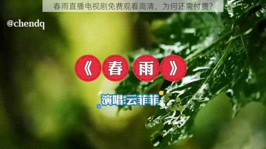 春雨直播电视剧免费观看高清，为何还需付费？