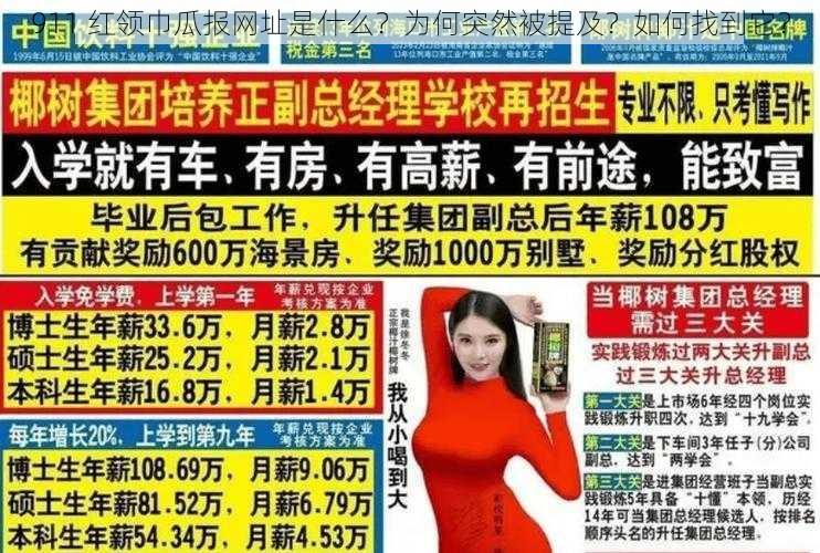 911 红领巾瓜报网址是什么？为何突然被提及？如何找到它？