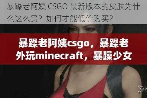 暴躁老阿姨 CSGO 最新版本的皮肤为什么这么贵？如何才能低价购买？