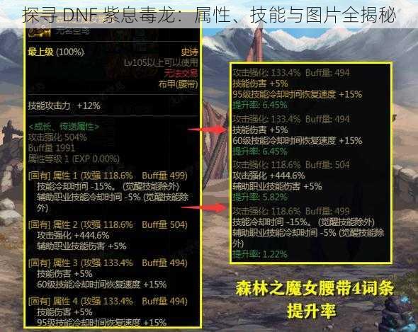 探寻 DNF 紫息毒龙：属性、技能与图片全揭秘