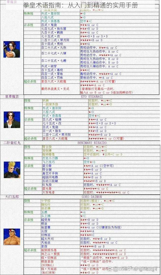 拳皇术语指南：从入门到精通的实用手册