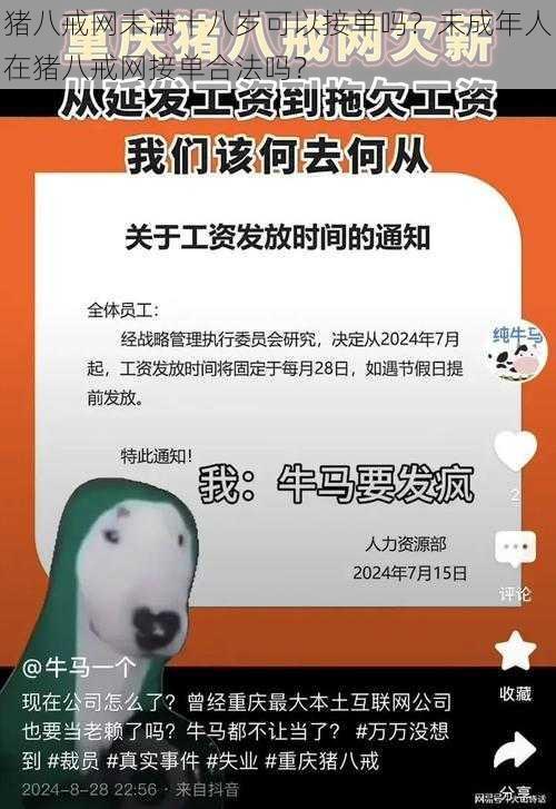 猪八戒网未满十八岁可以接单吗？未成年人在猪八戒网接单合法吗？