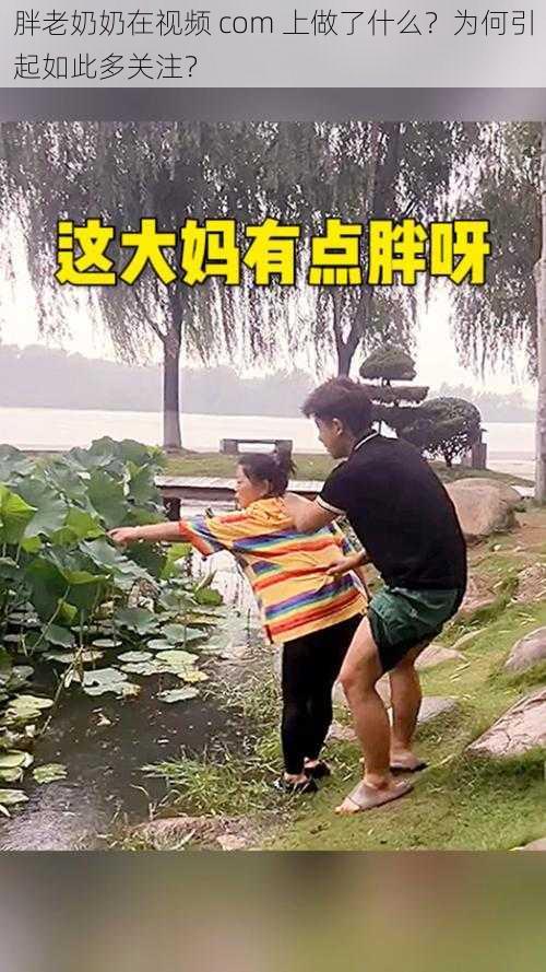 胖老奶奶在视频 com 上做了什么？为何引起如此多关注？