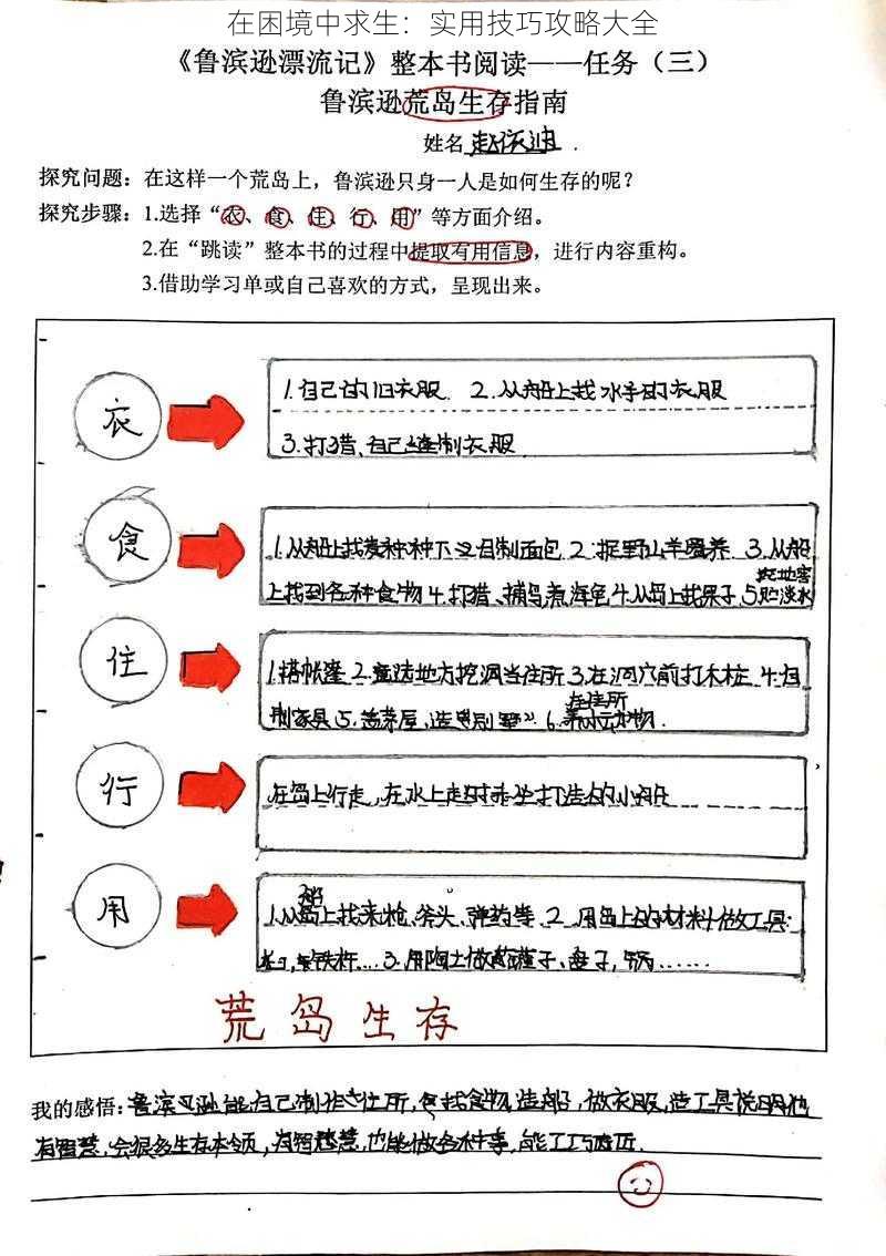 在困境中求生：实用技巧攻略大全