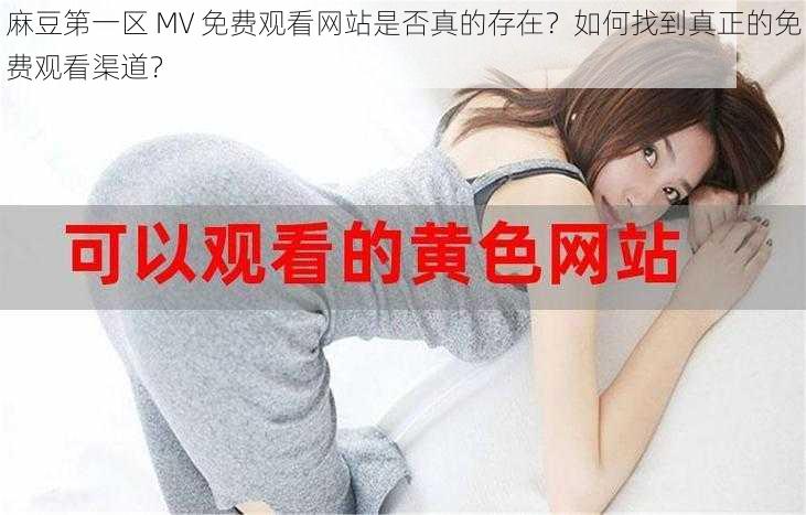 麻豆第一区 MV 免费观看网站是否真的存在？如何找到真正的免费观看渠道？