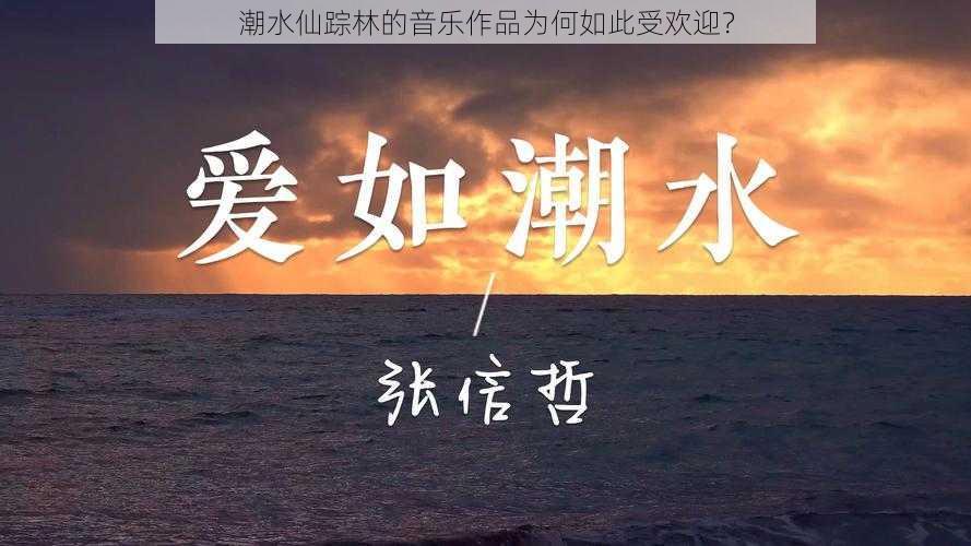 潮水仙踪林的音乐作品为何如此受欢迎？