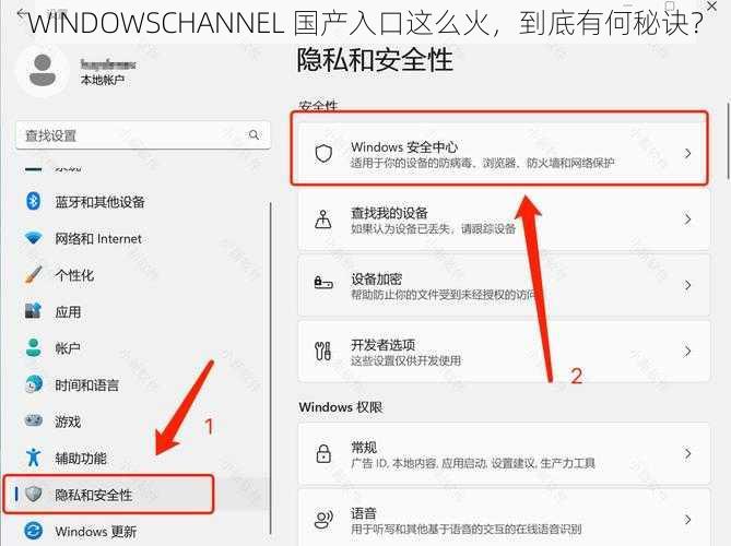 WINDOWSCHANNEL 国产入口这么火，到底有何秘诀？