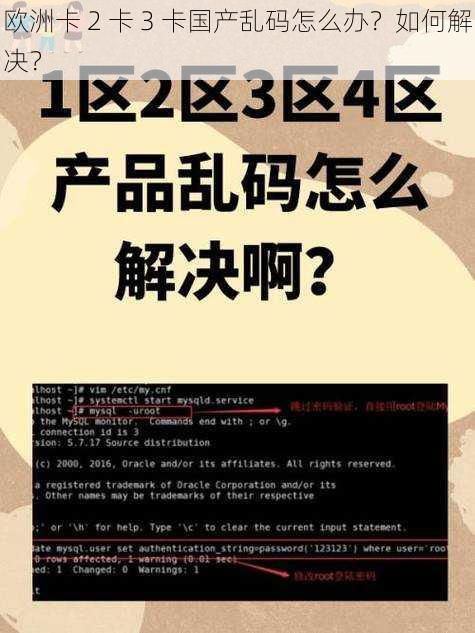 欧洲卡 2 卡 3 卡国产乱码怎么办？如何解决？