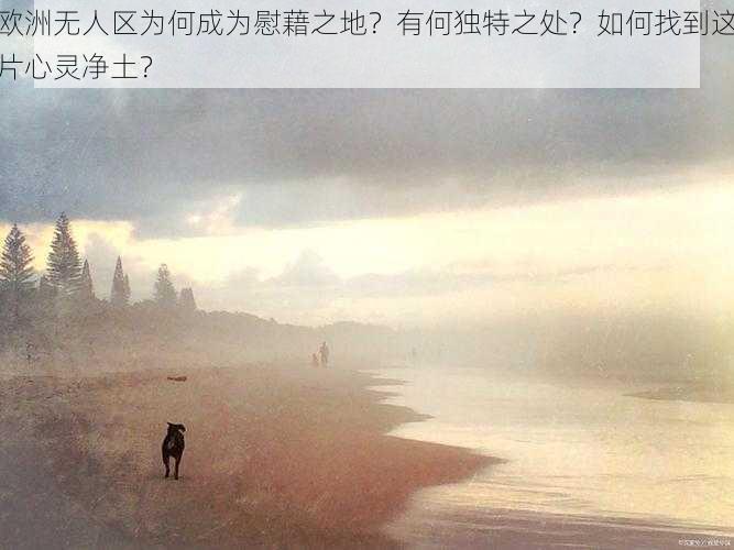 欧洲无人区为何成为慰藉之地？有何独特之处？如何找到这片心灵净土？