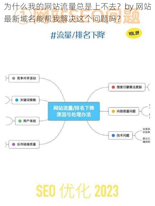 为什么我的网站流量总是上不去？by 网站最新域名能帮我解决这个问题吗？