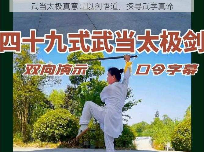 武当太极真意：以剑悟道，探寻武学真谛