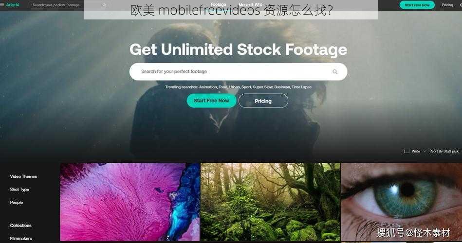 欧美 mobilefreevideos 资源怎么找？