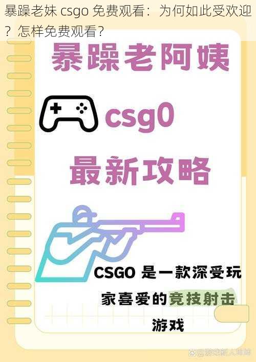 暴躁老妹 csgo 免费观看：为何如此受欢迎？怎样免费观看？