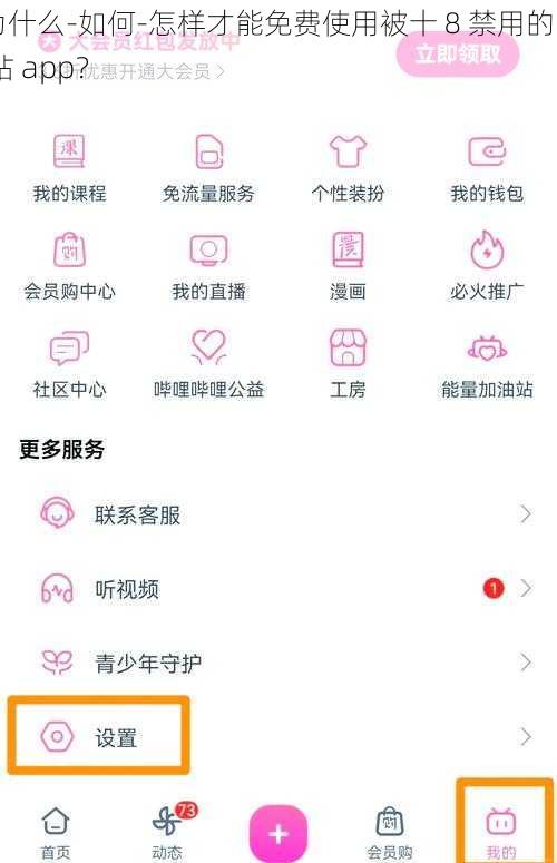 为什么-如何-怎样才能免费使用被十 8 禁用的 b 站 app？