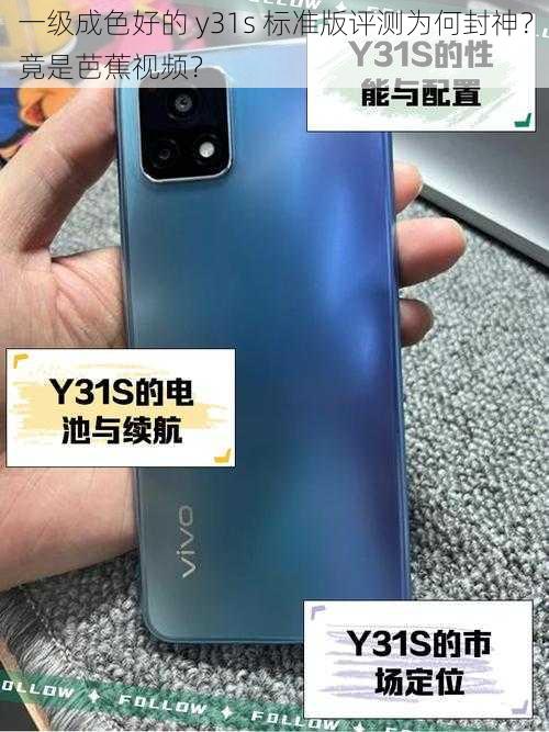 一级成色好的 y31s 标准版评测为何封神？竟是芭蕉视频？