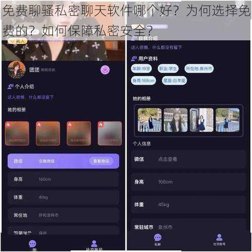 免费聊骚私密聊天软件哪个好？为何选择免费的？如何保障私密安全？