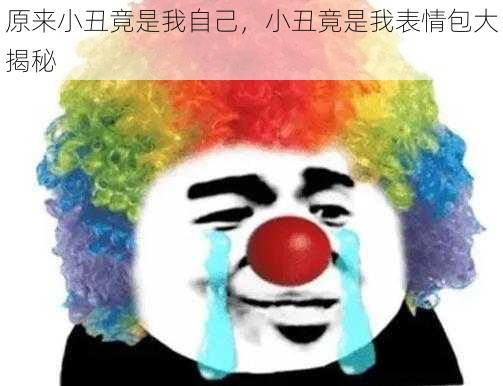 原来小丑竟是我自己，小丑竟是我表情包大揭秘