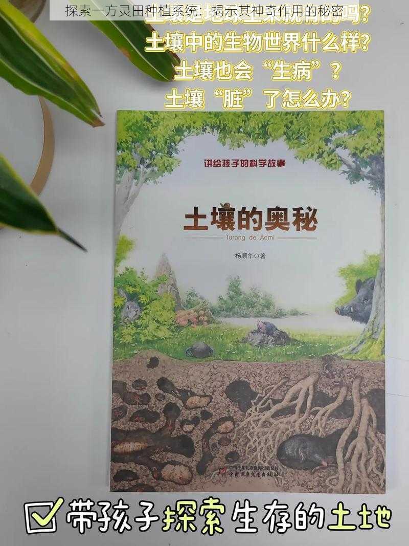 探索一方灵田种植系统：揭示其神奇作用的秘密