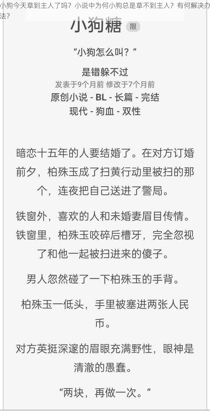 小狗今天草到主人了吗？小说中为何小狗总是草不到主人？有何解决办法？