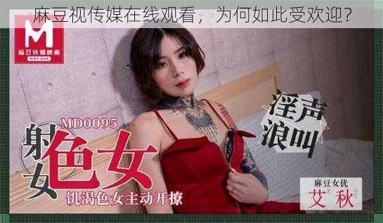 麻豆视传媒在线观看，为何如此受欢迎？