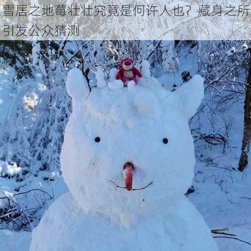 雪居之地莓壮壮究竟是何许人也？藏身之所引发公众猜测