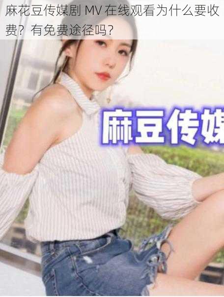 麻花豆传媒剧 MV 在线观看为什么要收费？有免费途径吗？