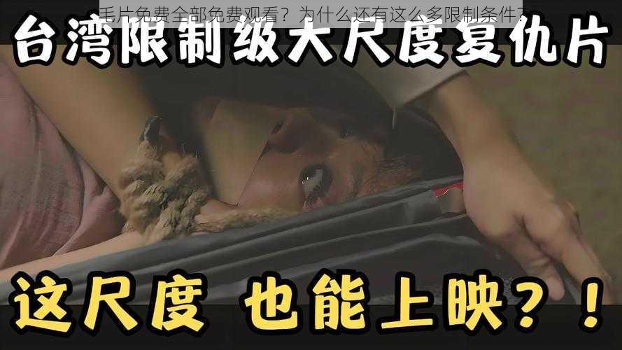 毛片免费全部免费观看？为什么还有这么多限制条件？